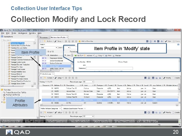 Collection User Interface Tips Collection Modify and Lock Record Item Profile in ‘Modify’ state