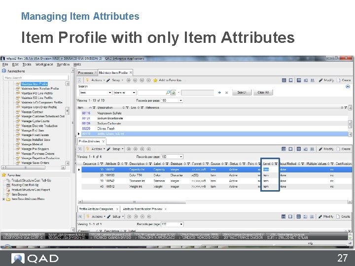 Managing Item Attributes Item Profile with only Item Attributes 27 