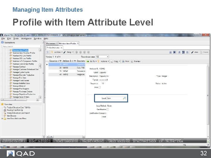 Managing Item Attributes Profile with Item Attribute Level 32 