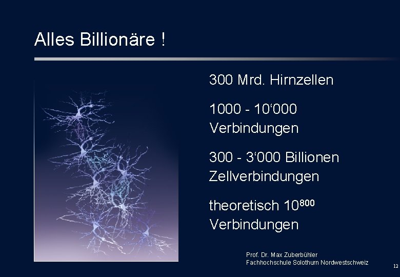 Alles Billionäre ! 300 Mrd. Hirnzellen 1000 - 10‘ 000 Verbindungen 300 - 3‘