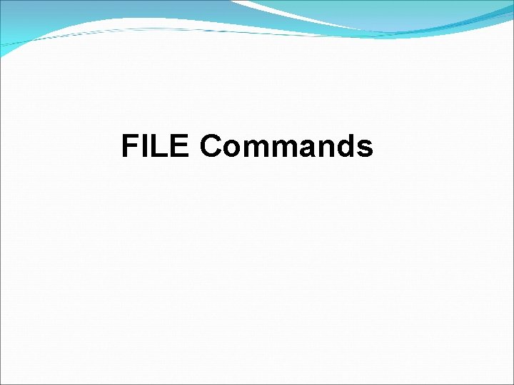 FILE Commands FILE Commands