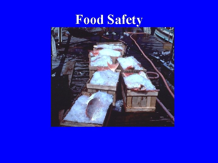 Food Safety 