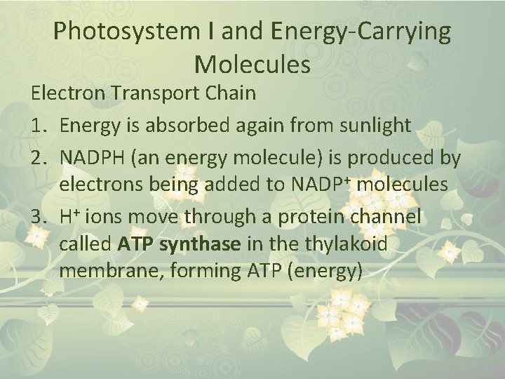 Photosystem I and Energy-Carrying Molecules Electron Transport Chain 1. Energy is absorbed again from