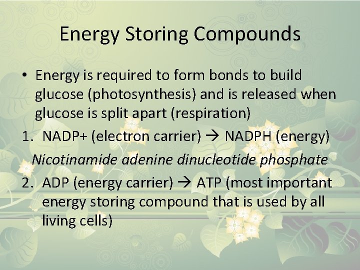 Energy Storing Compounds • Energy is required to form bonds to build glucose (photosynthesis)