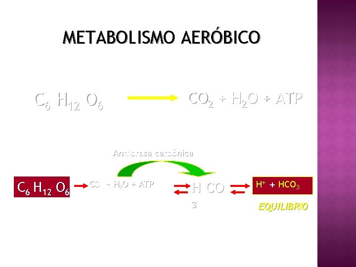 METABOLISMO AERÓBICO CO 2 + H 2 O + ATP C 6 H 12