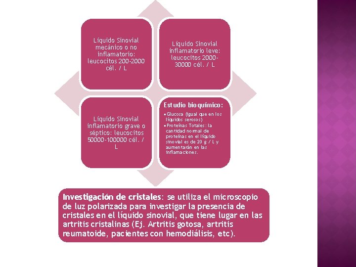 Líquido Sinovial mecánico o no inflamatorio: leucocitos 200 -2000 cél. / L Líquido Sinovial