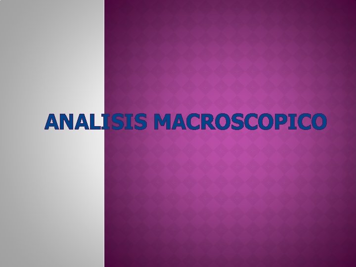 ANALISIS MACROSCOPICO 