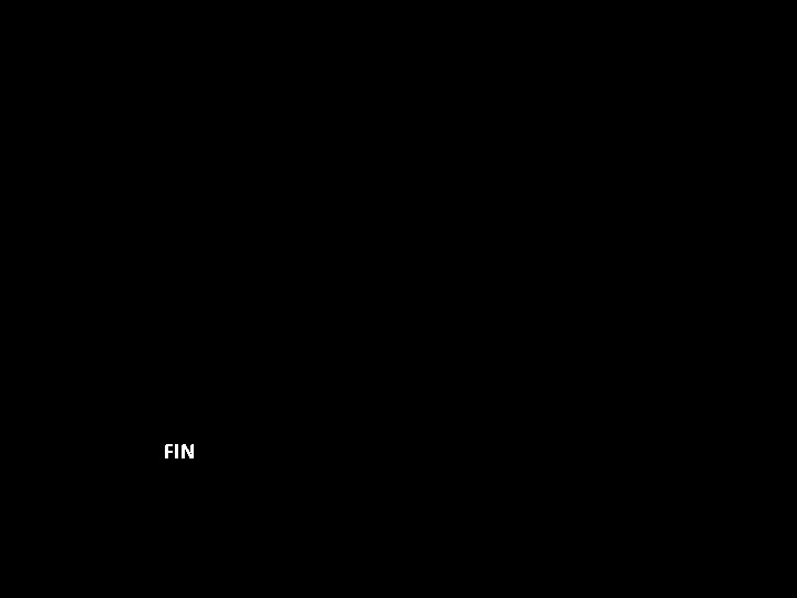 FIN 
