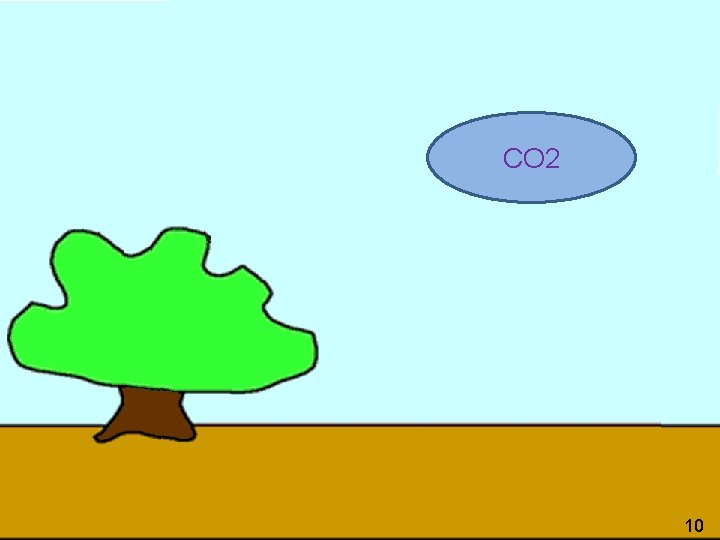 CO 2 10 