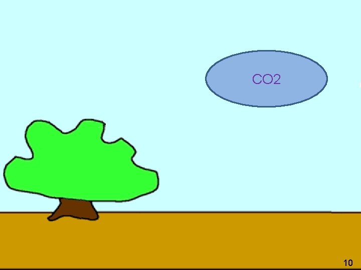 CO 2 10 