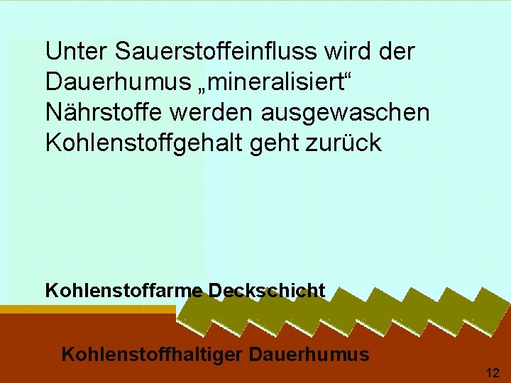 Unter Sauerstoffeinfluss wird der Dauerhumus „mineralisiert“ Nährstoffe werden ausgewaschen Kohlenstoffgehalt geht zurück Kohlenstoffarme Deckschicht