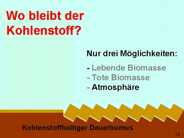 Wo bleibt der Kohlenstoff? Nur drei Möglichkeiten: - Lebende Biomasse - Tote Biomasse -