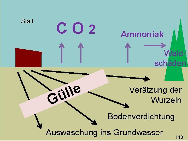 Stall CO 2 Ammoniak Waldschäden G e l l ü Verätzung der Wurzeln Bodenverdichtung