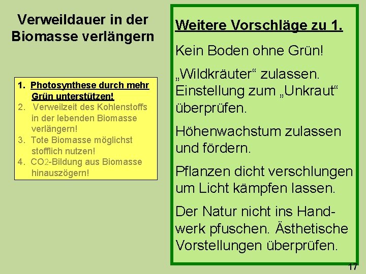 Verweildauer in der Biomasse verlängern 1. Photosynthese durch mehr Grün unterstützen! 2. Verweilzeit des