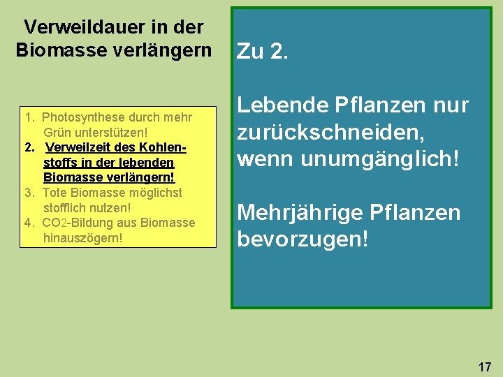 Verweildauer in der Biomasse verlängern 1. Photosynthese durch mehr Grün unterstützen! 2. Verweilzeit des