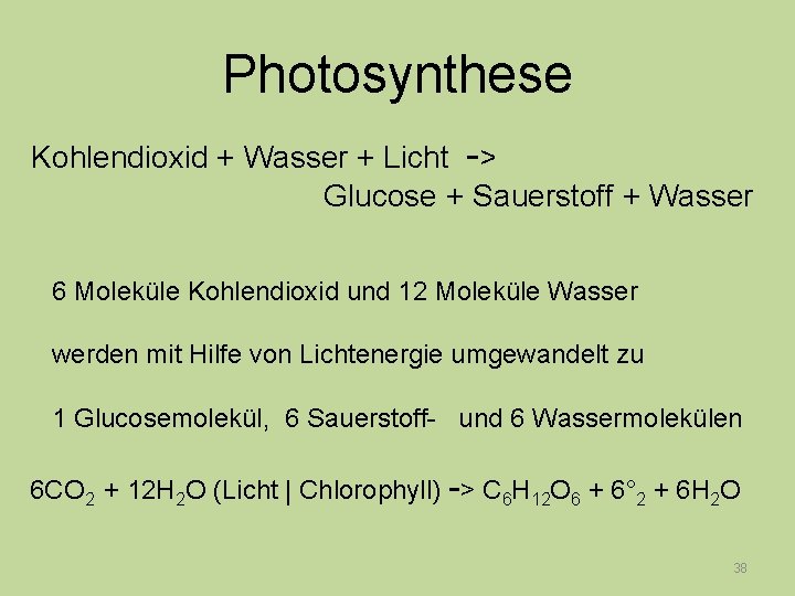 Photosynthese Kohlendioxid + Wasser + Licht -> Glucose + Sauerstoff + Wasser 6 Moleküle
