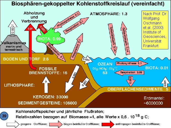Nach Prof. Dr. Wolfgang Oschmann et al. (2000) Institute of Geosciences, Universität Frankfurt 39