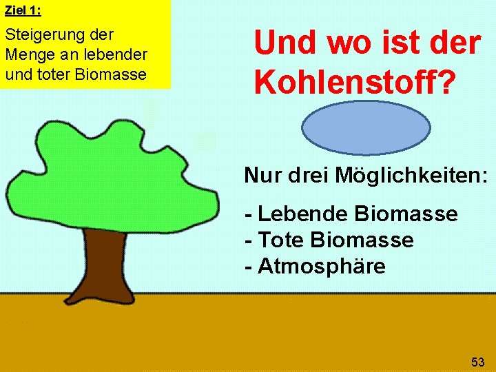 Ziel 1: Steigerung der Menge an lebender und toter Biomasse Und wo ist der