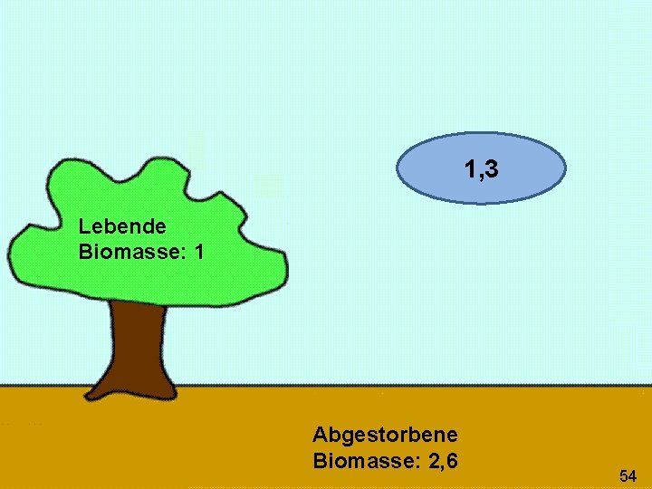 1, 3 Lebende Biomasse: 1 Abgestorbene Biomasse: 2, 6 54 