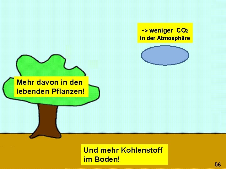 -> weniger CO 2 in der Atmosphäre Mehr davon in den lebenden Pflanzen! Und