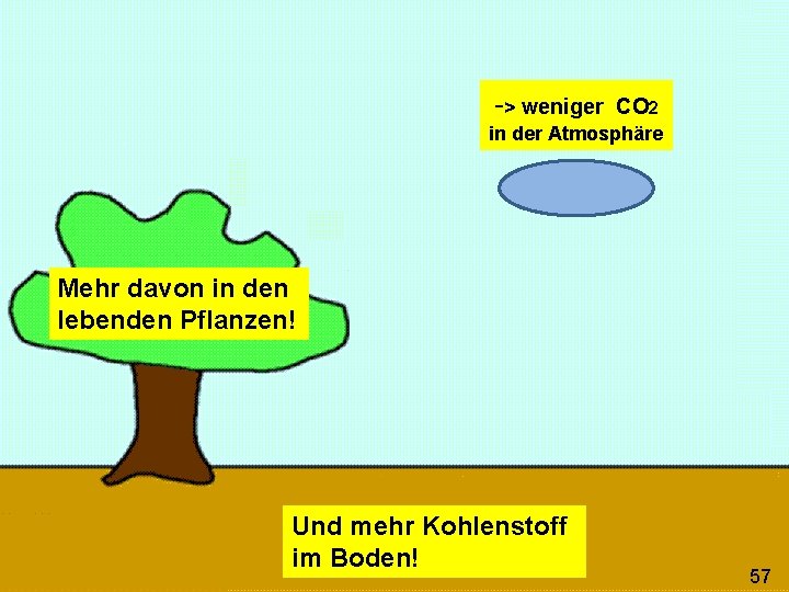 -> weniger CO 2 in der Atmosphäre Mehr davon in den lebenden Pflanzen! Und