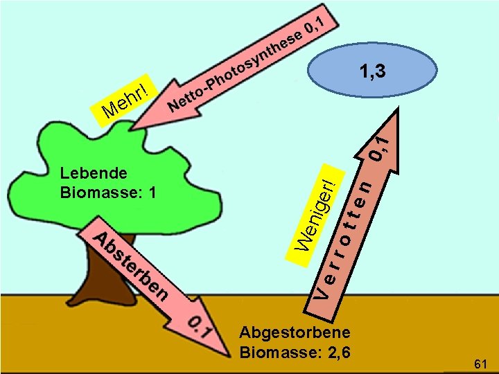 1, 3 r! h e Lebende Biomasse: 1 We nige Ve r! rro tte