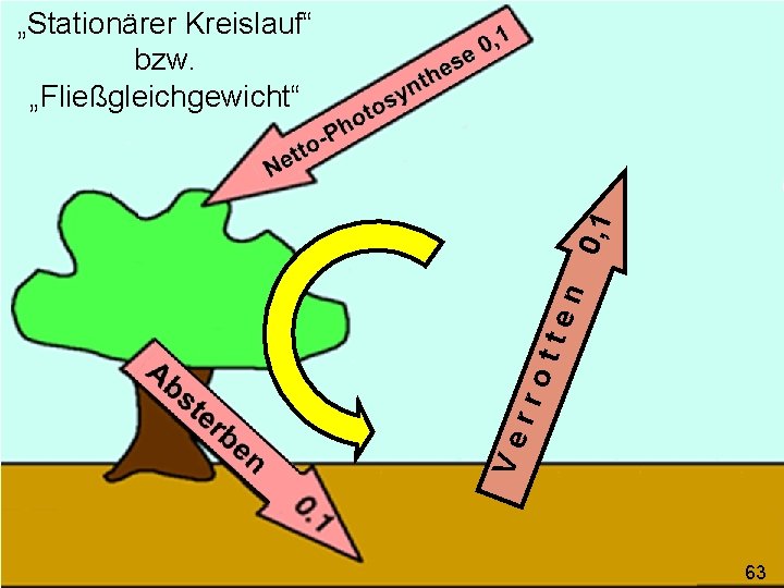 Ve rro tte n 0, 1 „Stationärer Kreislauf“ bzw. „Fließgleichgewicht“ 63 