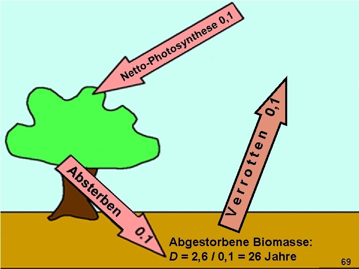 0, 1 n tte rro Ve Abgestorbene Biomasse: D = 2, 6 / 0,