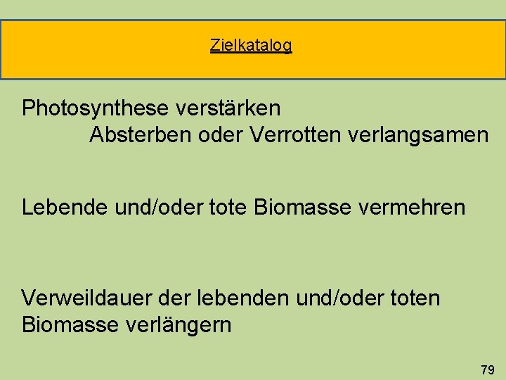 Zielkatalog Photosynthese verstärken Absterben oder Verrotten verlangsamen Lebende und/oder tote Biomasse vermehren Verweildauer der