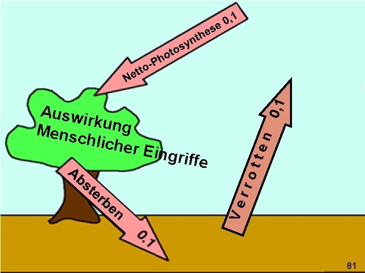 0, 1 n tte rro griffe Ve Ausw irkung Mensc hliche r Ein 81