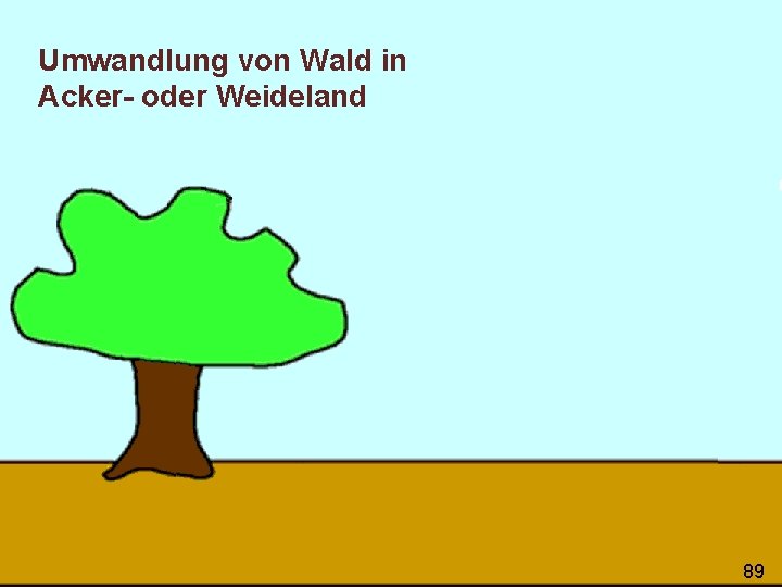 Umwandlung von Wald in Acker- oder Weideland 89 