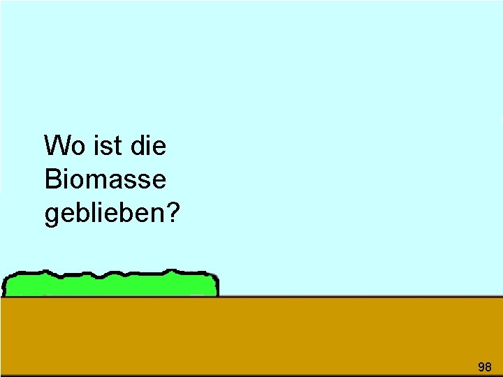 Wo ist die Biomasse geblieben? 98 