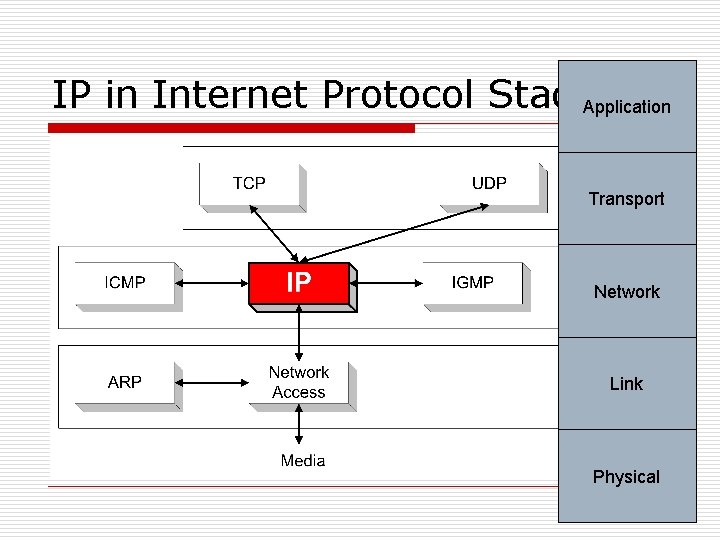 IP in Internet Protocol Stack. Application Transport Network Link Physical 