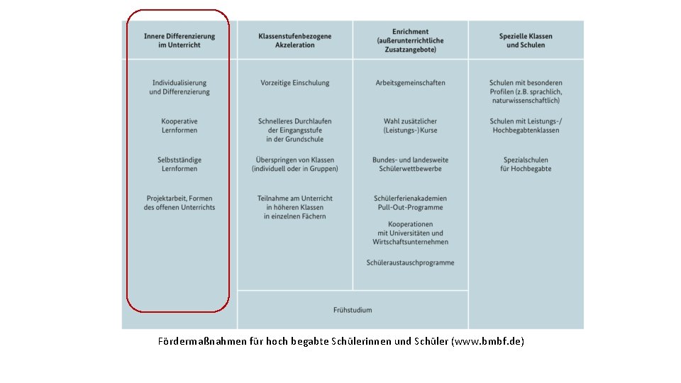 Fördermaßnahmen für hoch begabte Schülerinnen und Schüler (www. bmbf. de) 