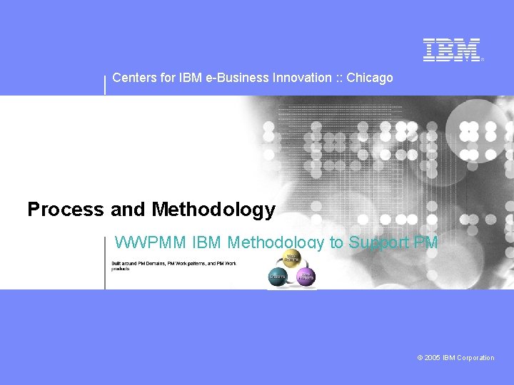 Centers for IBM e-Business Innovation : : Chicago Process and Methodology WWPMM IBM Methodology