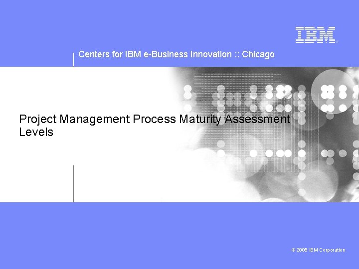 Centers for IBM e-Business Innovation : : Chicago Project Management Process Maturity Assessment Levels
