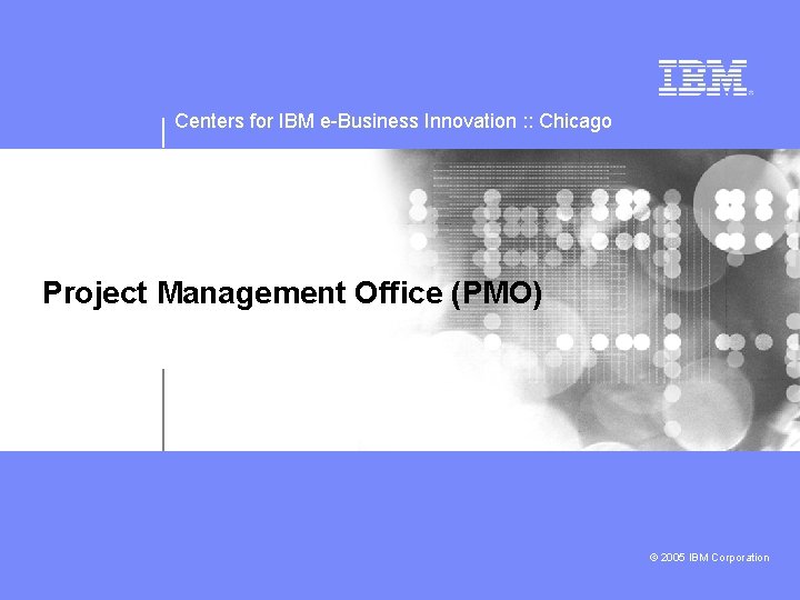 Centers for IBM e-Business Innovation : : Chicago Project Management Office (PMO) © 2005