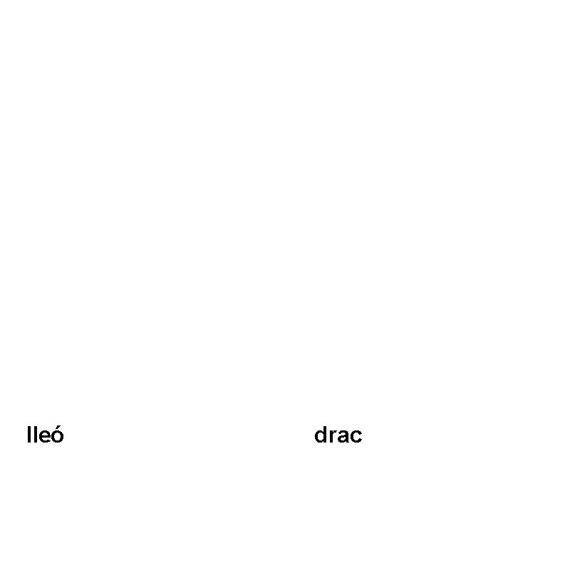 lleó drac 