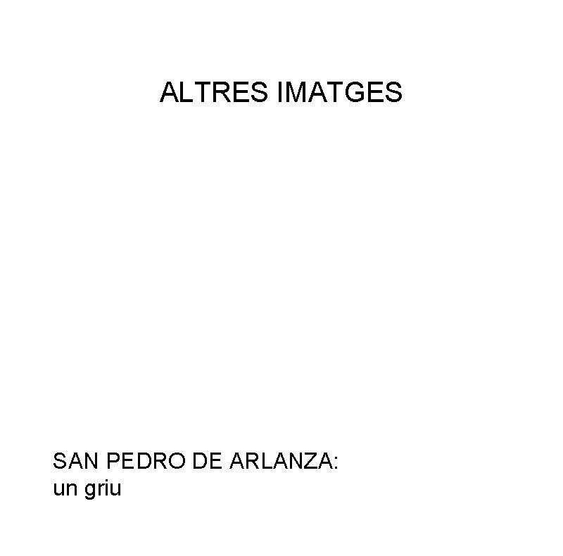 ALTRES IMATGES SAN PEDRO DE ARLANZA: un griu 