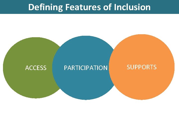 Defining Features of Inclusion ACCESS PARTICIPATION SUPPORTS 