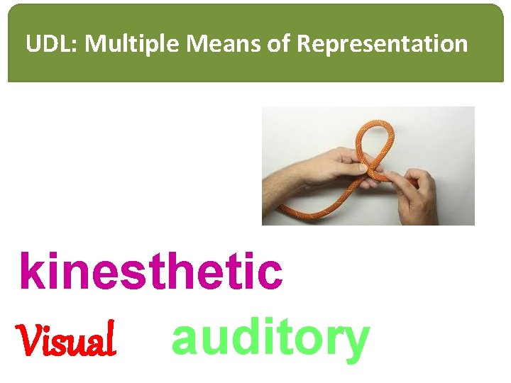 UDL: Multiple Means of Representation kinesthetic Visual auditory 