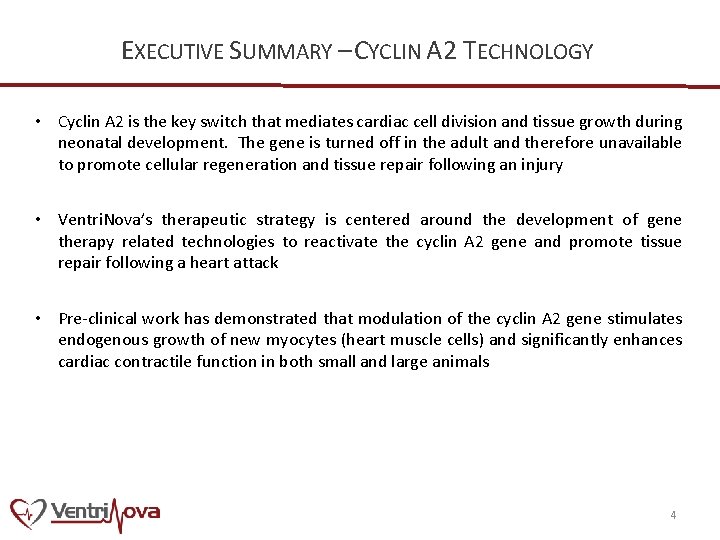 EXECUTIVE SUMMARY – CYCLIN A 2 TECHNOLOGY • Cyclin A 2 is the key