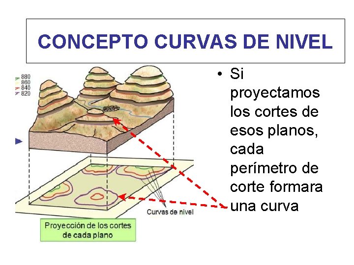 CONCEPTO CURVAS DE NIVEL • Si proyectamos los cortes de esos planos, cada perímetro