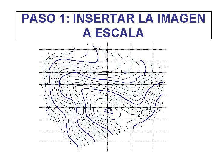 PASO 1: INSERTAR LA IMAGEN A ESCALA 