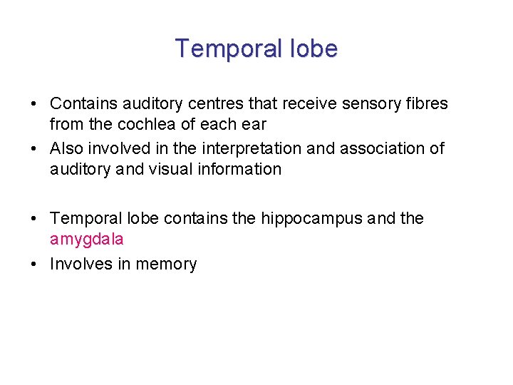 Temporal lobe • Contains auditory centres that receive sensory fibres from the cochlea of
