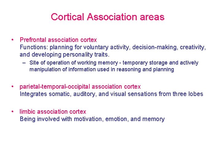 Cortical Association areas • Prefrontal association cortex Functions: planning for voluntary activity, decision-making, creativity,