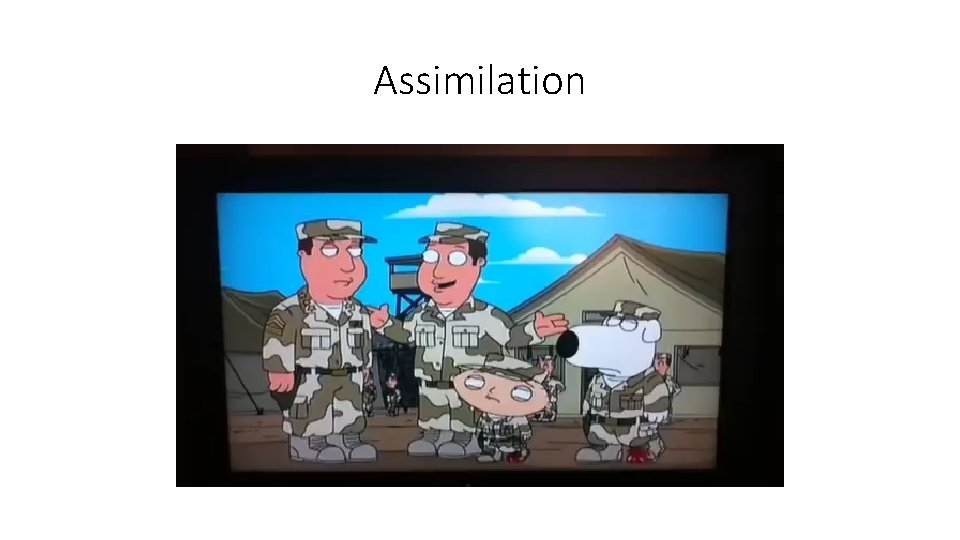 Assimilation 