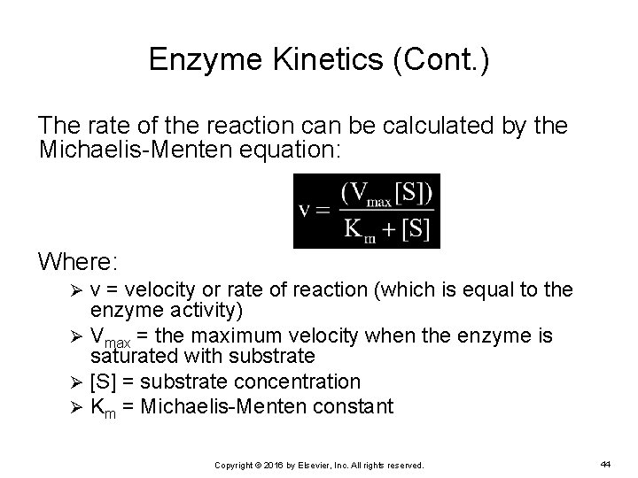 Enzyme Kinetics (Cont. ) The rate of the reaction can be calculated by the