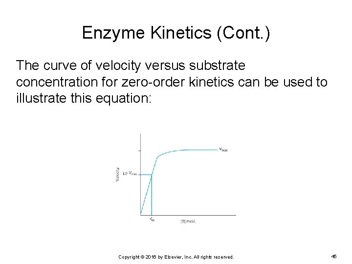 Enzyme Kinetics (Cont. ) The curve of velocity versus substrate concentration for zero-order kinetics