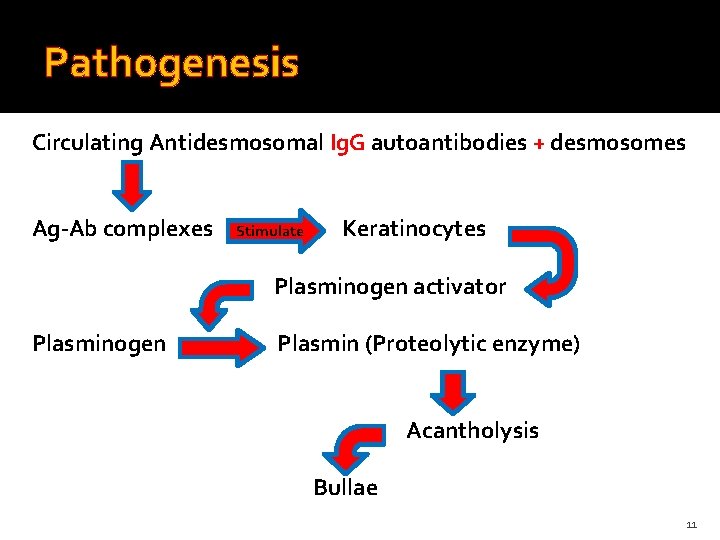 Pathogenesis Circulating Antidesmosomal Ig. G autoantibodies + desmosomes Ag-Ab complexes Stimulate Keratinocytes Plasminogen activator